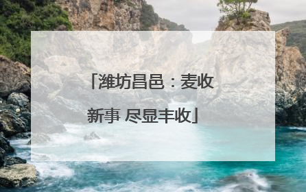 潍坊昌邑：麦收新事 尽显丰收