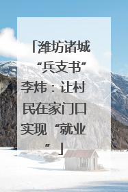 潍坊诸城“兵支书”李炜：让村民在家门口实现“就业”