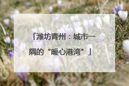 潍坊青州：城市一隅的“暖心港湾”