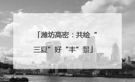 潍坊高密：共绘“三夏”好“丰”景