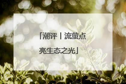 潮评丨流萤点亮生态之光