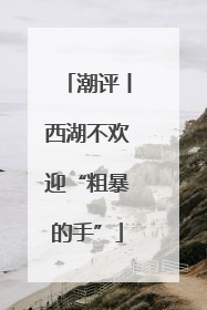 潮评丨西湖不欢迎“粗暴的手”