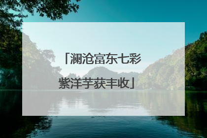 澜沧富东七彩紫洋芋获丰收