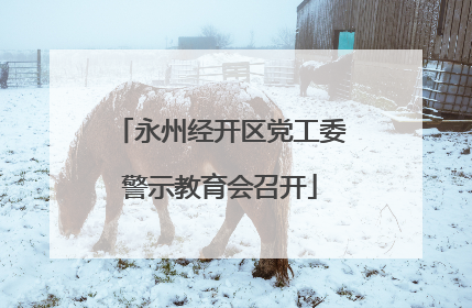 永州经开区党工委警示教育会召开