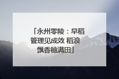 永州零陵：早稻管理见成效 稻浪飘香穗满田