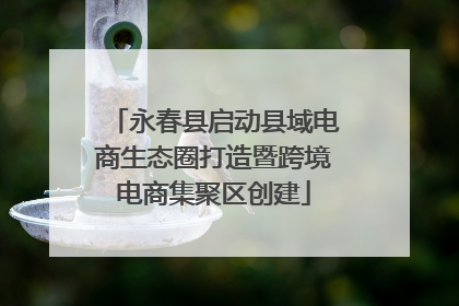 永春县启动县域电商生态圈打造暨跨境电商集聚区创建