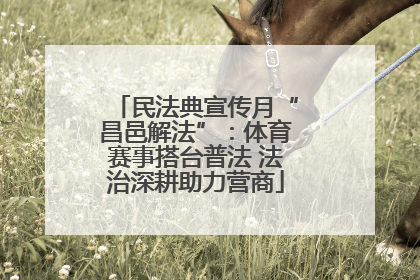 民法典宣传月“昌邑解法”：体育赛事搭台普法 法治深耕助力营商