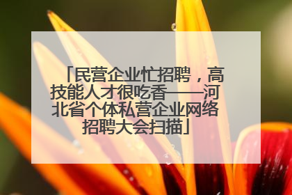 民营企业忙招聘，高技能人才很吃香——河北省个体私营企业网络招聘大会扫描
