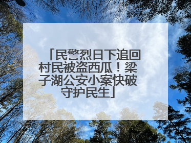 民警烈日下追回村民被盗西瓜！梁子湖公安小案快破守护民生