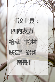 汶上县：四向发力 绘就“跨村联建”崭新图景