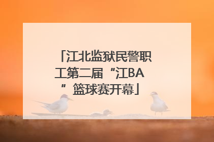 江北监狱民警职工第二届“江BA”篮球赛开幕