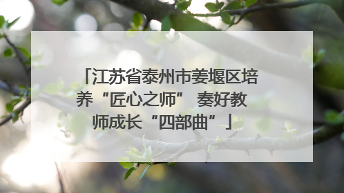 江苏省泰州市姜堰区培养“匠心之师” 奏好教师成长“四部曲”