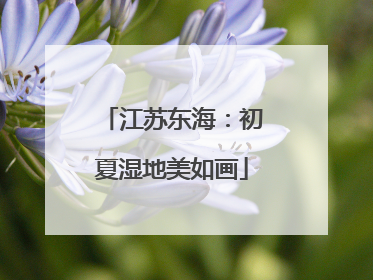 江苏东海：初夏湿地美如画