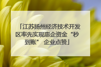 江苏扬州经济技术开发区率先实现惠企资金“秒到账” 企业点赞
