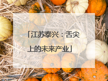 江苏泰兴：舌尖上的未来产业