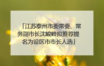 江苏泰州市委常委、常务副市长沈峻峰拟推荐提名为设区市市长人选