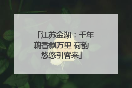 江苏金湖：千年藕香飘万里 荷韵悠悠引客来