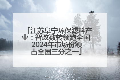 江苏阜宁环保滤料产业：智改数转领跑全国 2024年市场份额占全国三分之一