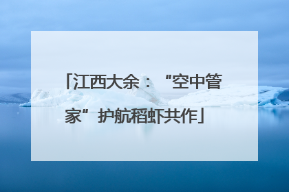 江西大余：“空中管家”护航稻虾共作