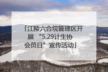 江陵六合垸管理区开展 “5.29计生协会员日”宣传活动
