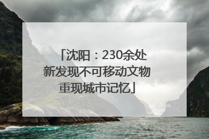 沈阳：230余处新发现不可移动文物重现城市记忆