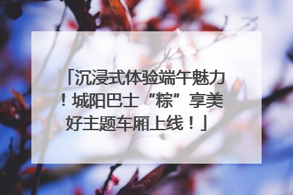 沉浸式体验端午魅力！城阳巴士“粽”享美好主题车厢上线！