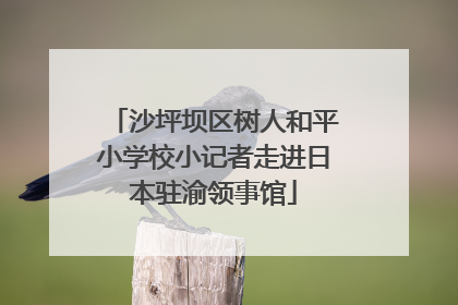 沙坪坝区树人和平小学校小记者走进日本驻渝领事馆