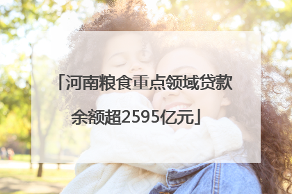 河南粮食重点领域贷款余额超2595亿元