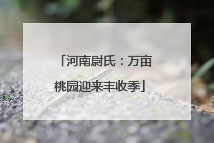 河南尉氏：万亩桃园迎来丰收季