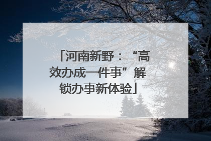 河南新野：“高效办成一件事”解锁办事新体验
