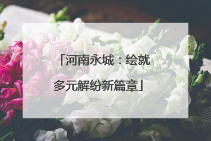 河南永城：绘就多元解纷新篇章