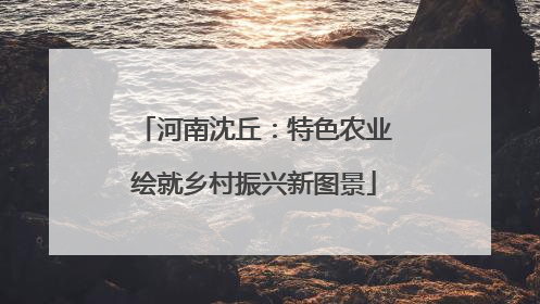 河南沈丘：特色农业绘就乡村振兴新图景