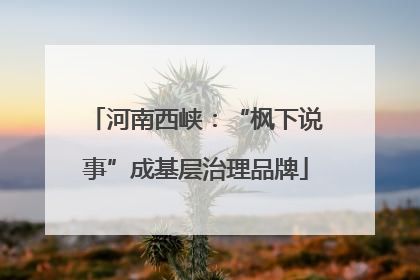 河南西峡：“枫下说事”成基层治理品牌