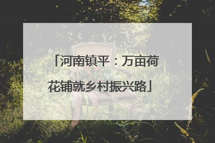 河南镇平：万亩荷花铺就乡村振兴路