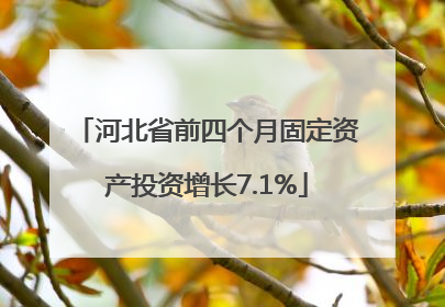 河北省前四个月固定资产投资增长7.1%