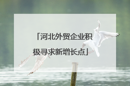 河北外贸企业积极寻求新增长点