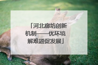 河北廊坊创新机制——优环境解难题促发展