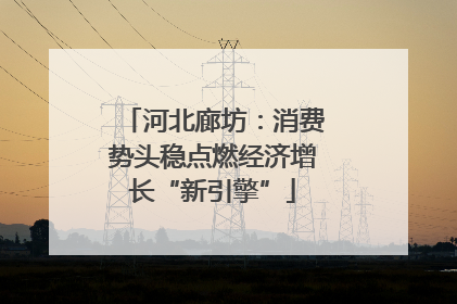 河北廊坊：消费势头稳点燃经济增长“新引擎”