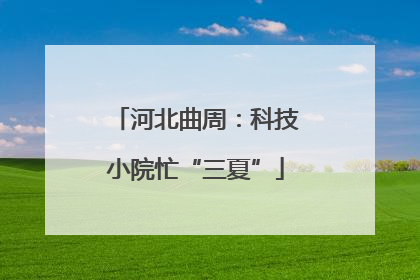 河北曲周：科技小院忙“三夏”