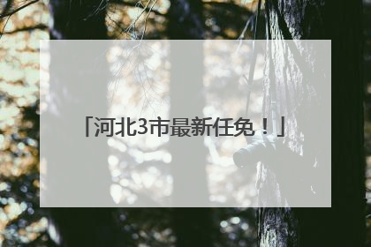河北3市最新任免！