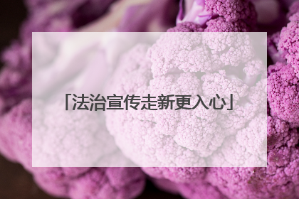 法治宣传走新更入心