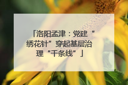 洛阳孟津：党建“绣花针”穿起基层治理“千条线”