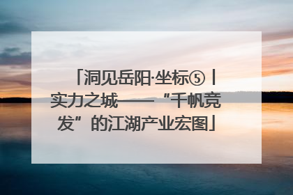 洞见岳阳·坐标⑤丨实力之城——“千帆竞发”的江湖产业宏图