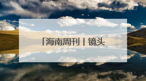 海南周刊丨镜头之下 蜂虎纷飞
