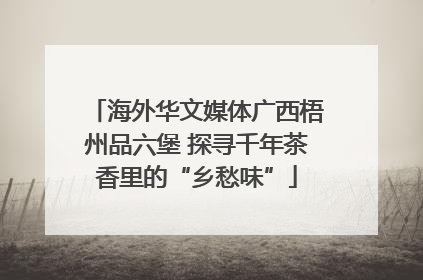 海外华文媒体广西梧州品六堡 探寻千年茶香里的“乡愁味”