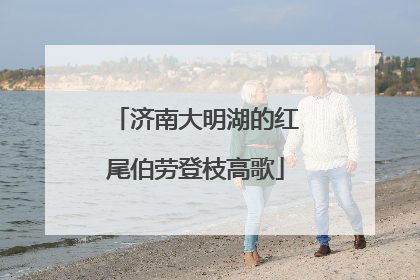 济南大明湖的红尾伯劳登枝高歌
