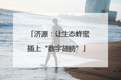 济源：让生态蜂蜜插上“数字翅膀”