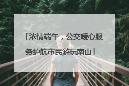 浓情端午，公交暖心服务护航市民游玩南山