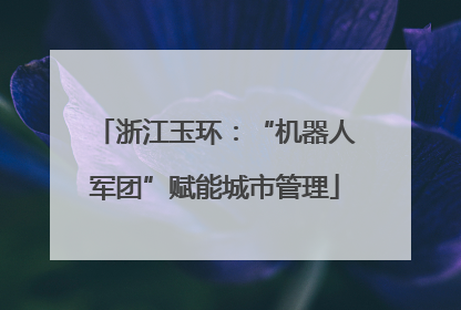 浙江玉环：“机器人军团”赋能城市管理