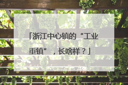 浙江中心镇的“工业重镇”，长啥样？